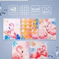 Тетрадь 48 листов в клетку, Calligrata &laquo;Фламинго&raquo;, МИКС