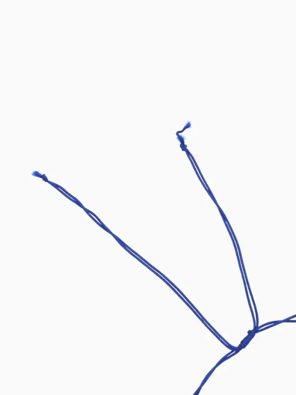 Браслет на ногу, анклет, длина 20 см, белый, синий Браслет на ногу, анклет, длина 20 см, белый, синий