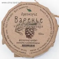 Варенье &laquo;Сосновые шишки&raquo;&lrm;, 100 мл