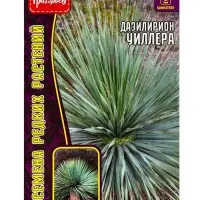Семена цветов Дазилирион Уиллера 10 шт. / НОВИНКА  12.29 г.