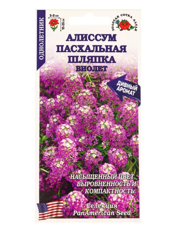 Семена Алиссум Пасхальная шляпка Виолет /Сотка/ 0,01 г/ h-12см d-5см/*1800 Семена Алиссум Пасхальная шляпка Виолет /Сотка/ 0,01 г/ h-12см d-5см/*1800