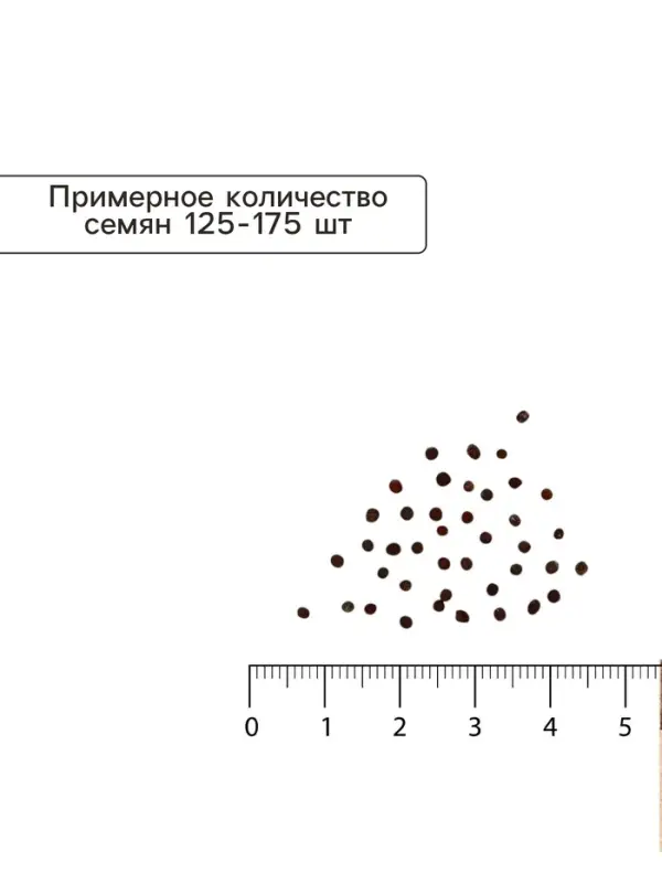 Семена Капуста белокочанная &laquo;Июньская&raquo;, 0.5 г, &laquo;Аэлита&raquo;