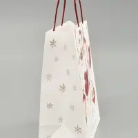Набор пакетов крафтовых &laquo;Новогодний&raquo;, 10 шт., 23&times;27&times;11.5 см