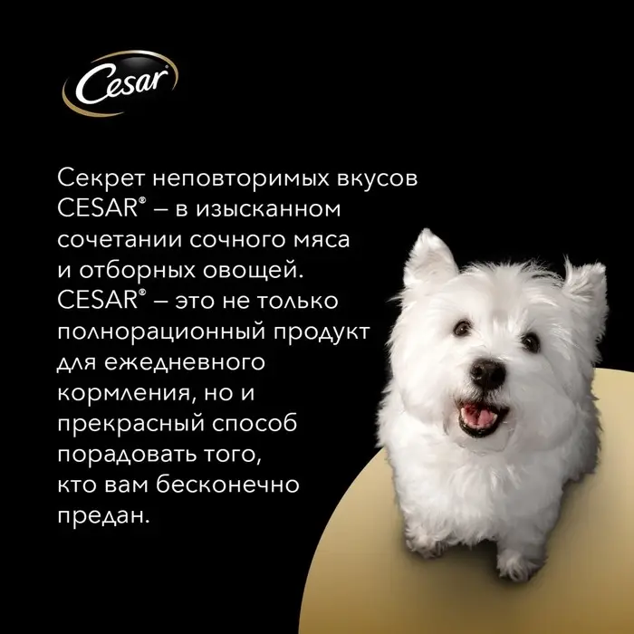 Влажный корм Cesar для собак, говядина с овощами, в соусе, пауч, 85 г