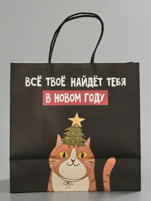 Пакет подарочный крафт &laquo;Найду новом году&raquo;, 22&times;22&times;11 см