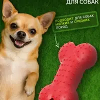 Жевательная игрушка для собак &laquo;Кость малая&raquo;, 8.5 см, TPR, красная