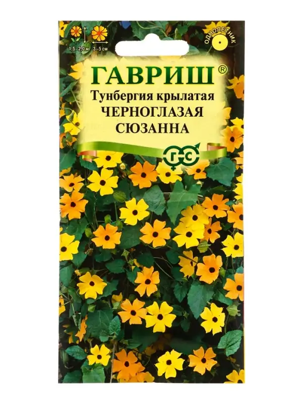 Семена цветов Тунбергия крылатая Черноглазая Сюзанна 0,3 г