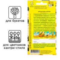 Семена  цветов Хризантема "Ариэль", Мн, 0,1 г