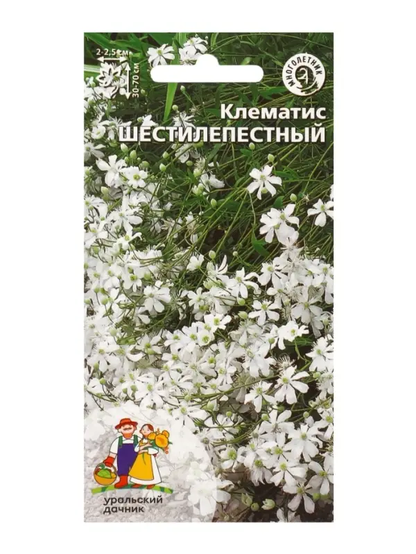 Семена Цветы Клематис Шестилепестный, 10 шт., &laquo;Уральский Дачник&raquo;