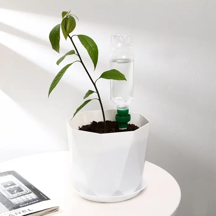 Автополив для комнатных растений под бутылку, h=10.5 см, набор 2 шт., Greengo