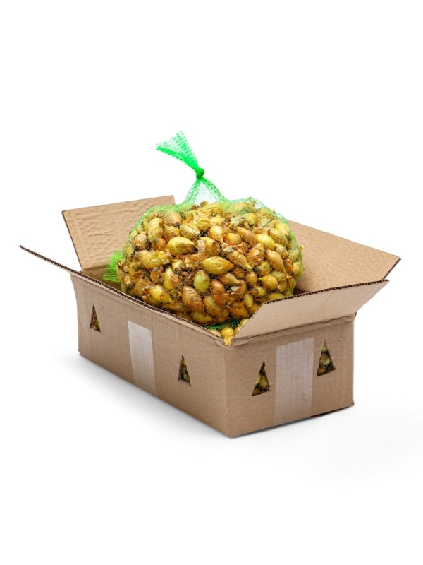 Лук севок Стурон , р-р 18-21, 2 кг, Весна 2025 Лук севок Стурон , р-р 18-21, 2 кг, Весна 2025