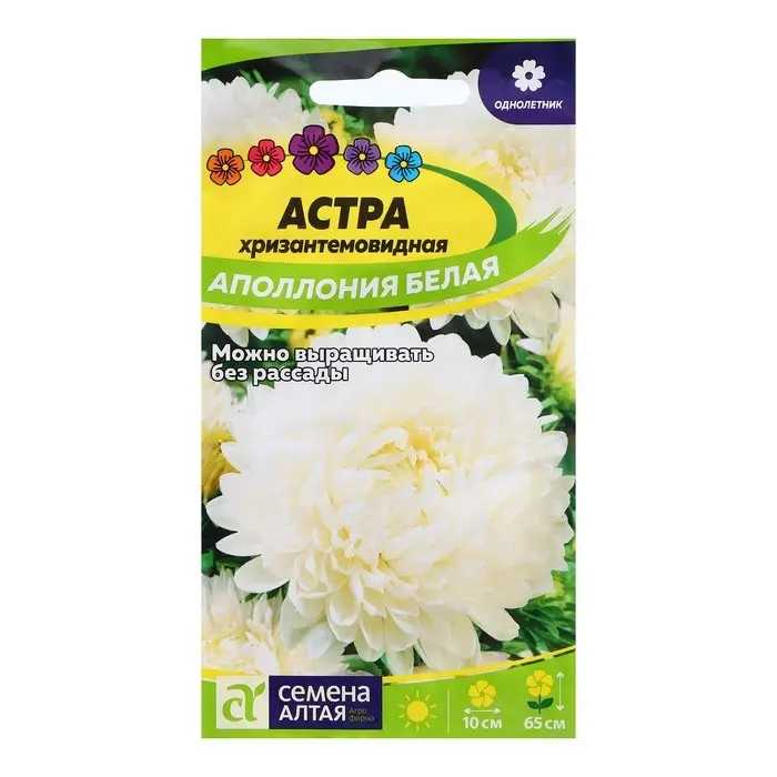 Семена Астра "Аполлония Белая", ц/п,  0,2 гр.