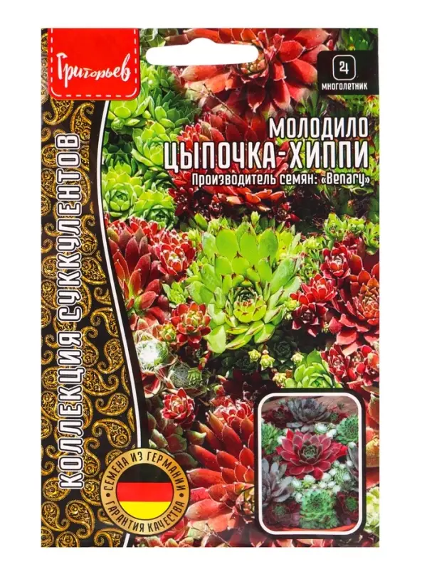 Семена цветов Молодило Цыпочка - Хиппи  5драже   12.29 г.