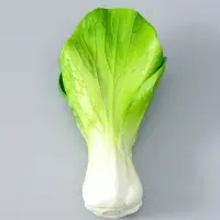 Муляж "Пучок зелени" 17х9,5 см, зелёный