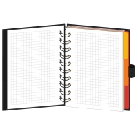 Бизнес-тетрадь Wisdom 7,А6,120л,100х140, 3 разд,рез под руч,клет,рад1,0007