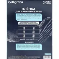 Пленка для ламинирования A4, 100 мкм 100 штук, глянцевая, 216&times;303 мм