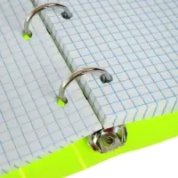 Тетрадь на кольцах Calligrata A5, 80 листов, в клетку, пластиковая обложка, блок офсет, салатовая