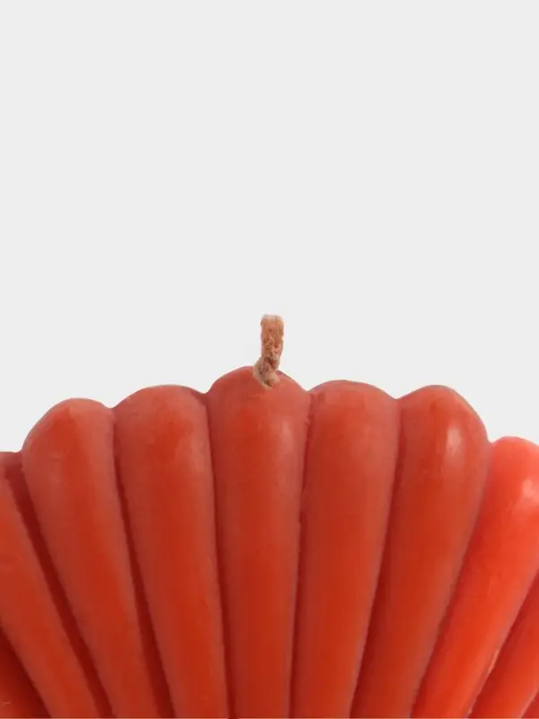 Свеча &laquo;Ракушка малая&raquo;, 9&times;4&times;7.5 см, соевый воск, МИКС