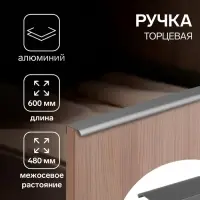 Ручка профильная мебельная торцевая CAPPIO RT002, L=600 мм, м/о 480 мм, серый
