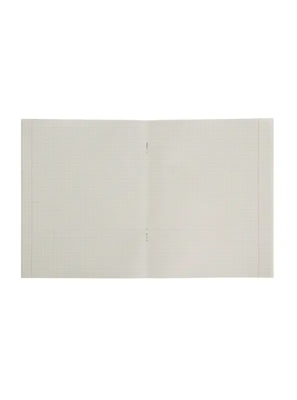 Тетрадь 48 листов в клетку Calligrata «Самолеты», обложка мелованный картон, блок №2, белизна 75% (серые листы), МИКС