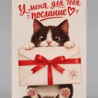 Открытка средняя с конвертом для денег &laquo;Послание для тебя&raquo;, 12&times;18 см, котёнок