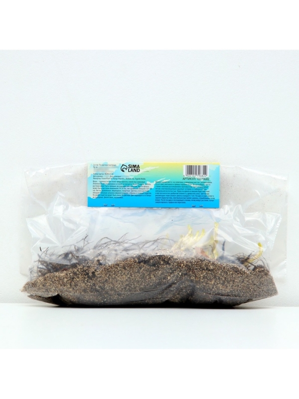 Флокс «Бамбини Кэнди Краш» ркорневище в пакете с торфогрунтом, -р I, 2 шт.