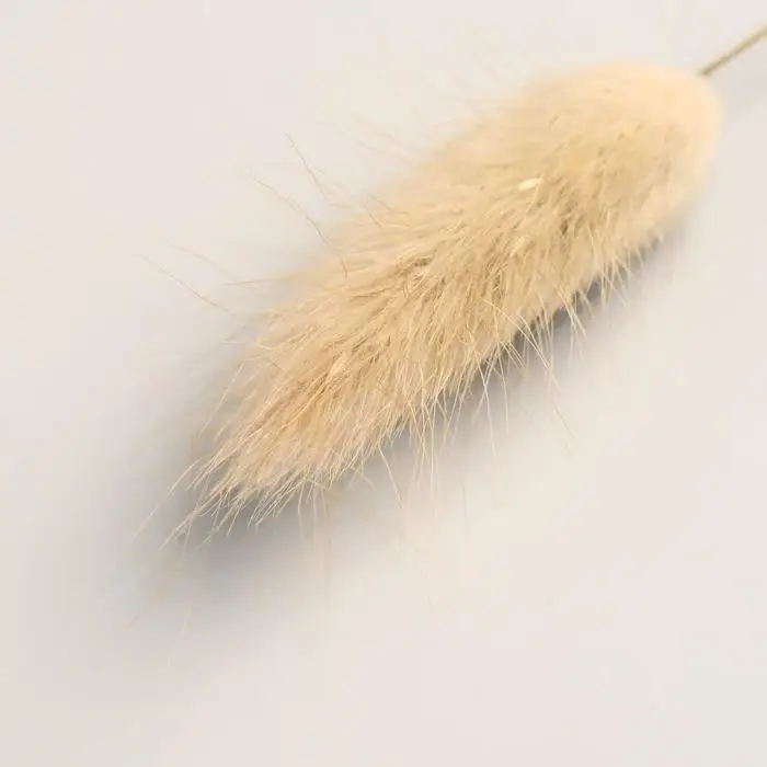 Сухоцветы «Лагурус», h=65 см, (фасовка 30 шт., цена за 1 шт.), бежевые Сухоцветы «Лагурус», h=65 см, (фасовка 30 шт., цена за 1 шт.), бежевые