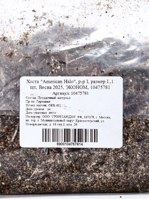 Хоста "American Halo", р-р I, размер L,1 шт, Весна 2025, ЭКОНОМ,
