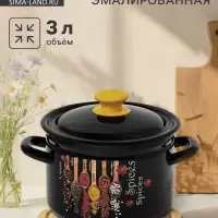 Кастрюля эмалированная &laquo;Карри&raquo;, 3 л, d=19.2 см, с крышкой, чёрная