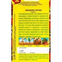 Семена Земляника Регина, Ц/П,0,04 г Семена Земляника Регина, Ц/П,0,04 г