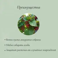 Кустодержатель, d=40 см, h=60 см, ножка d=1 см, металл, набор 2 полудуги, зелёный