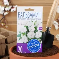 Семена цветов Бальзамин "Карнавал", белый, Мн., 8 шт