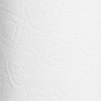 Бумага туалетная Focus Economic Choice 2слбел 100%цел 16,2м 8рул/уп 5056378