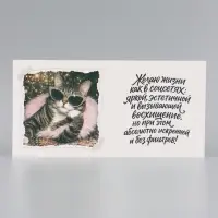 Открытка &laquo;С Днём Рождения!&raquo;, кошка, 15&times;15 см