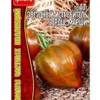 Семена Томат Звёздный Истребитель Сердце Марши (Marsha's Starfighter Heart) 5шт. / НОВИНКА  12.29 г.