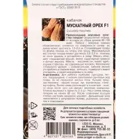 Семена Кабачок &laquo;Мускатный орех&raquo;, F1 1 г, &laquo;УРОЖАЙ УДАЧИ&raquo;