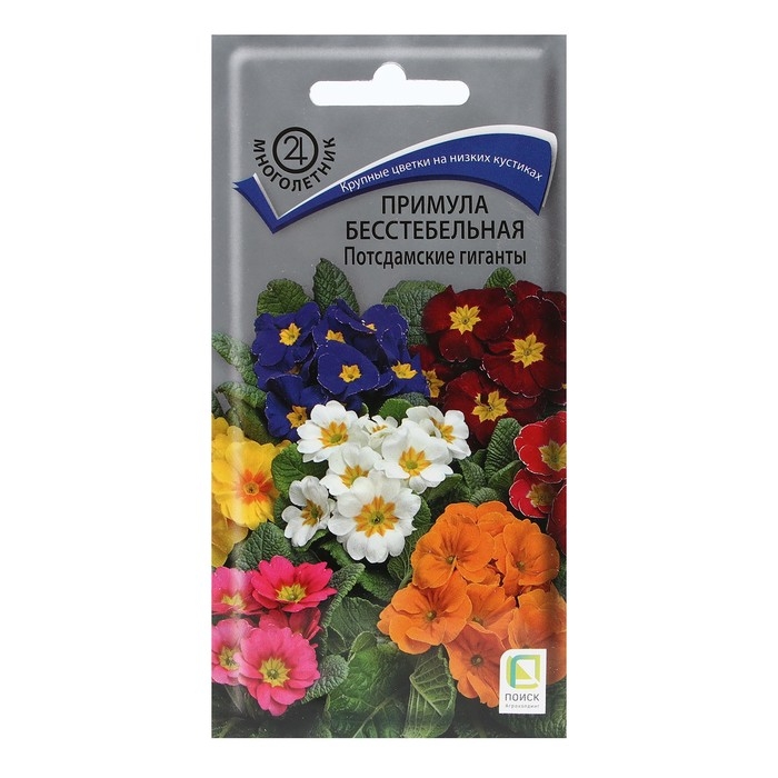 Семена цветов Примула бесстебельная  Семена цветов Примула бесстебельная "Потсдамские гиганты" 0,05 г
