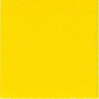 Салфетки хозяйственные вискозные Paclan Soft Universal 30х40см 10шт/уп