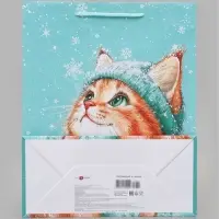 Пакет подарочный &laquo;Котёнок в шапке&raquo;, 26&times;12&times;32 см