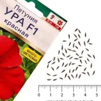 Семена цветов Петуния &laquo;Ура&raquo;, F1, красная, драже в пробирке, Syngenta, 7 шт., &laquo;Агрофирма АЭЛИТА&raquo;