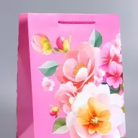 Пакет подарочный ламинированный &laquo;Счастья и радости&raquo;, 26&times;12&times;32 см