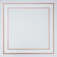 Пленка флористическая для цветов и букетов, белая, 57×57±1 см см, 50 мкм