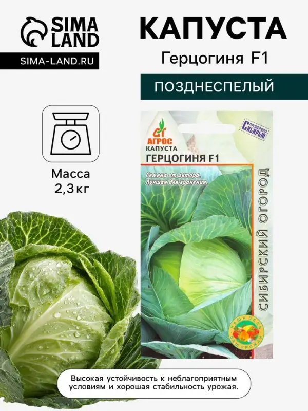 Семена Капуста &laquo;Герцогиня&raquo;, F1, 0.1 г, &laquo;Агросс&raquo;