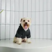 Толстовка однотонная для собак (футер), размер XS (ДС 18, ОШ 28-30, ОГ 38-40), серая Толстовка однотонная для собак (футер), размер XS (ДС 18, ОШ 28-30, ОГ 38-40), серая