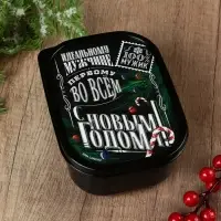 Ланч-бокс «Идеальному мужчине», 500 мл