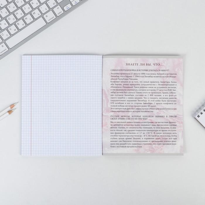 Тетрадь предметная 48 листов, А5, МРАМОР, со справ. мат. &laquo;1 сентября: История&raquo;, обложка мелованный картон 230 гр внутренний блок в клетку белизна 96%