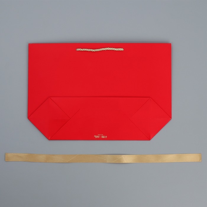 Пакет подарочный новогодний «Чудеса рядом», 26 х 25 х 11 см Пакет подарочный новогодний «Чудеса рядом», 26 х 25 х 11 см