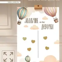 Плакат &laquo;Мальчик или девочка&raquo; с наклейками