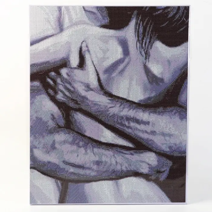 Алмазная вышивка полное заполнение &laquo;Пара&raquo;, на раме, 40&times;50 см