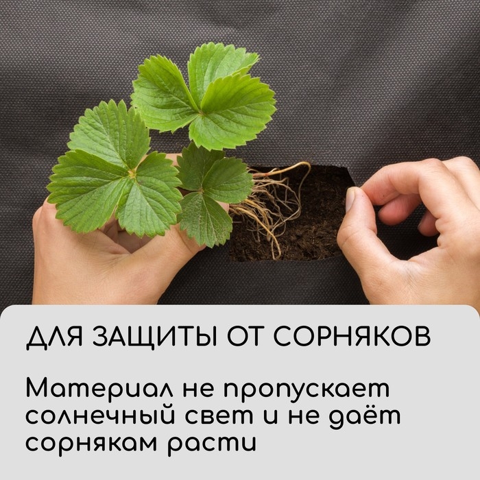 Материал для ландшафтных работ, 5 × 0,8 м, плотность 120 г/м², спанбонд с УФ-стабилизатором, чёрный, Greengo, Эконом 30% Материал для ландшафтных работ, 5 × 0,8 м, плотность 120 г/м², спанбонд с УФ-стабилизатором, чёрный, Greengo, Эконом 30%